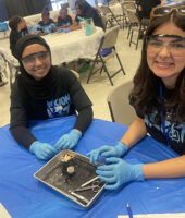 Eyeball Dissection