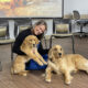 MBMC Nurses Week therapy dogs