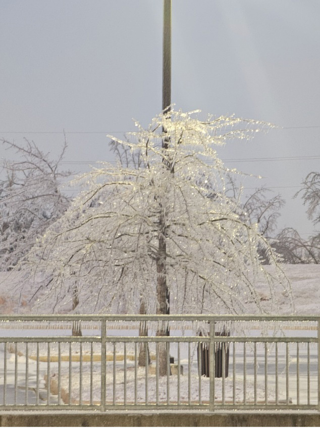 Baptist North Mississippi, Winter Storm Fern